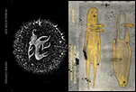 fortevilfruit