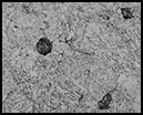 a3966546487_10